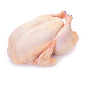 Gallina da brodo