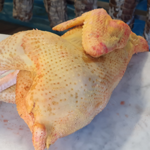 Pollo ruspante